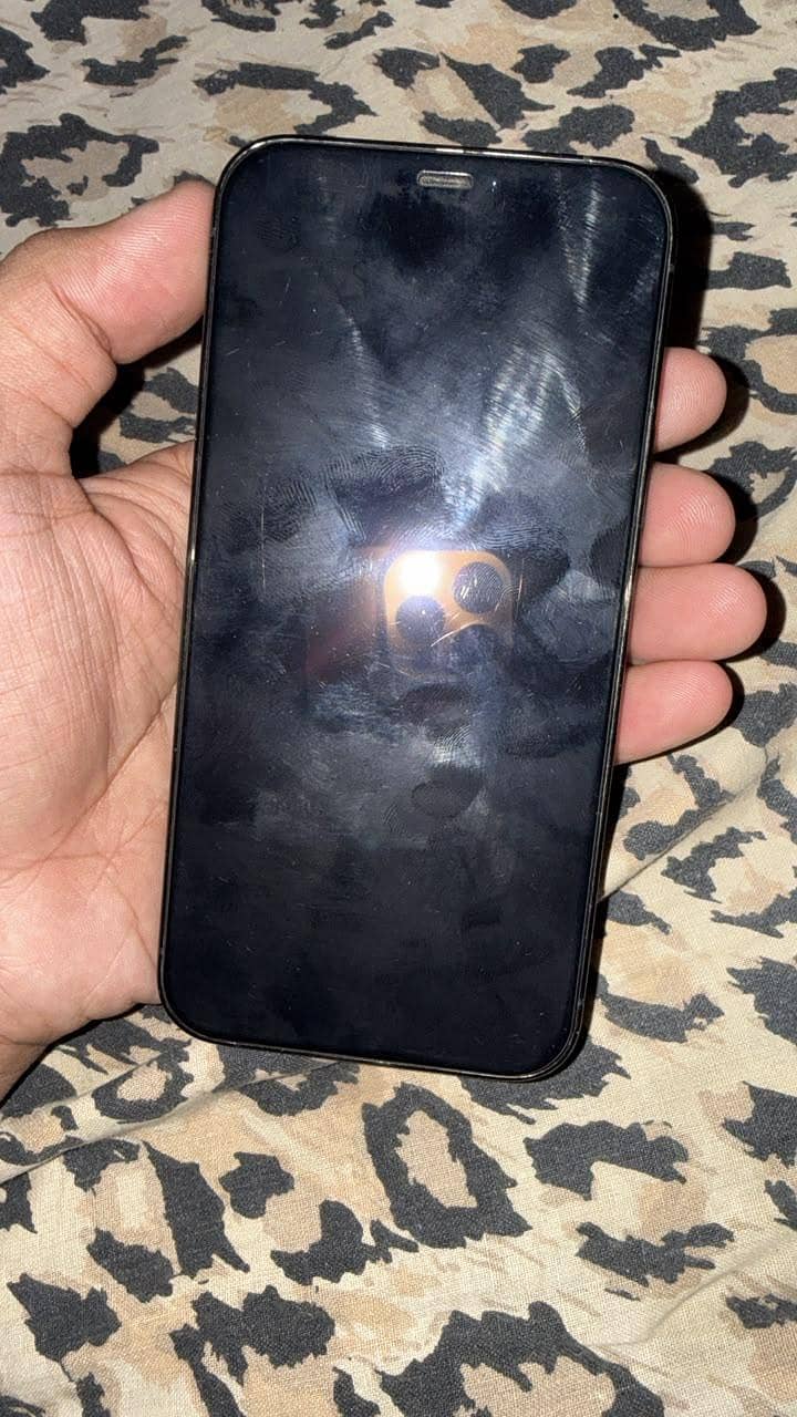 Apple iPhone 12 Pro 2