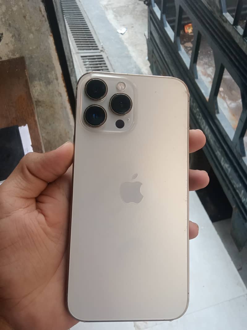 Apple iPhone 13 Pro Max 1