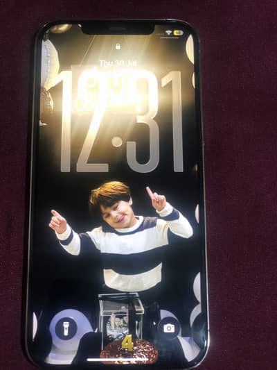 Apple iPhone 12 Pro Max Duel Physical PTA approved