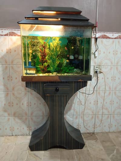 Premium Glass Aquarium 2ft x 1.5ft x 1ft – Excellent Condition