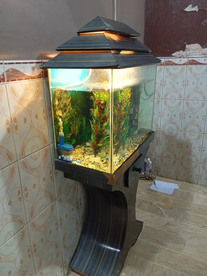 Premium Glass Aquarium 2ft x 1.5ft x 1ft – Excellent Condition — photo 5