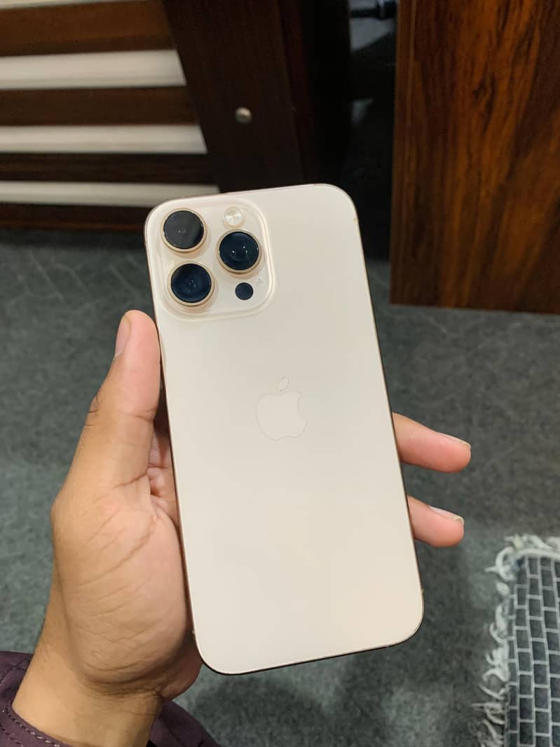 Apple iPhone 16 Pro Max 1