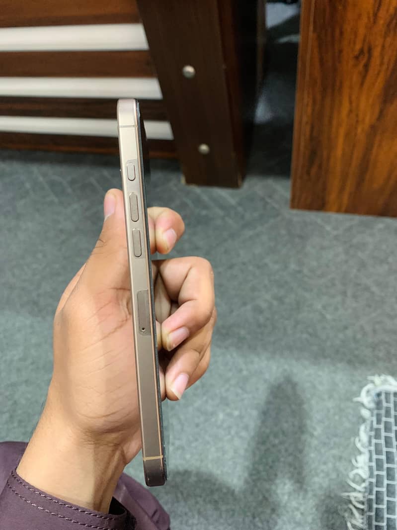 Apple iPhone 16 Pro Max 4