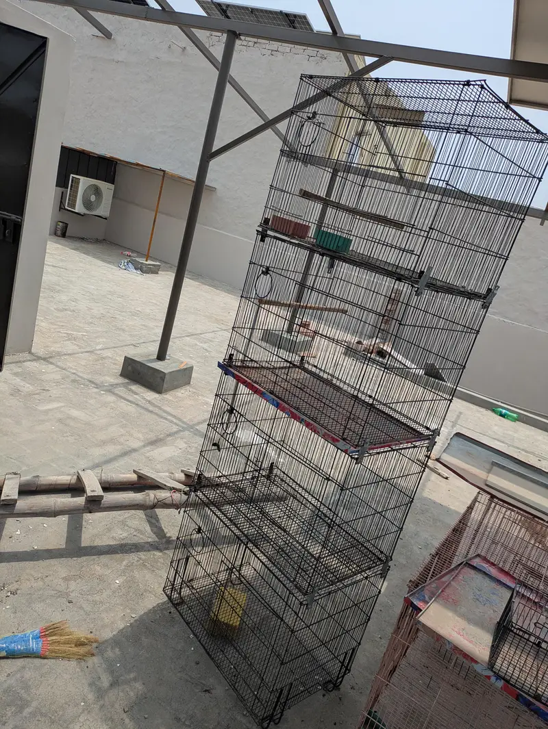 1.5 by 2  4 Portion Folding Cage — photo 9