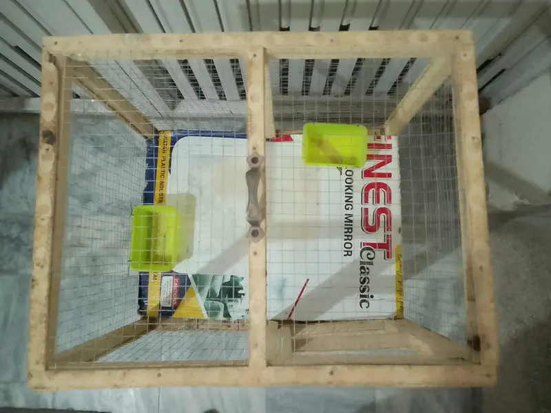 Wooden Cage For Sale Hens Chick's birds cage 2 Portion — photo 2