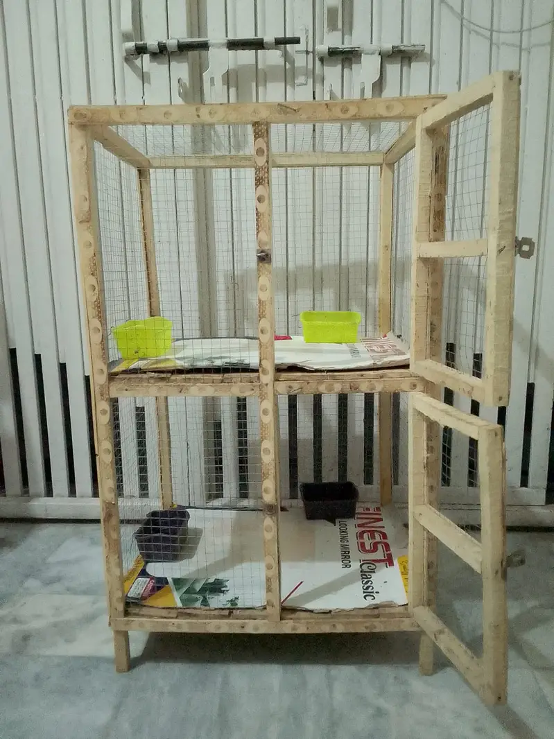 Wooden Cage For Sale Hens Chick's birds cage 2 Portion — photo 6