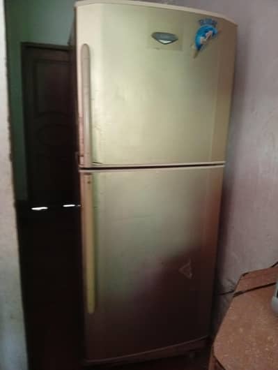 Haier Global No 1 refrigerator