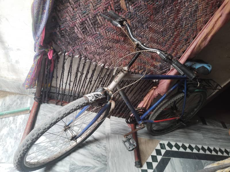 phoenix bicycle 6