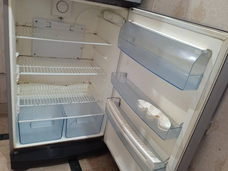Electrolux fridge 3