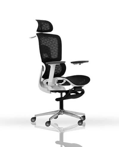 Dining Chair – Excellent Condition