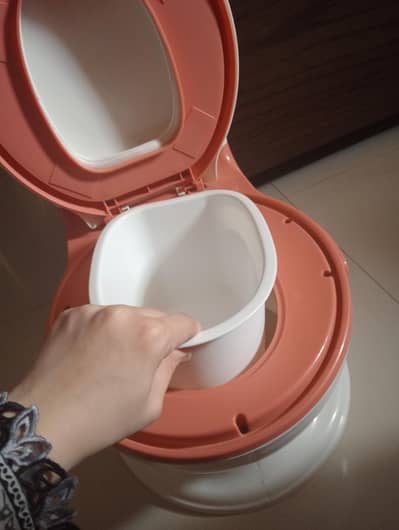 potty seat