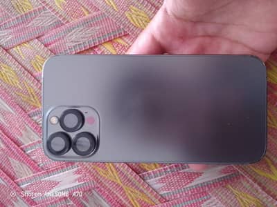 Apple iPhone 13 Pro Max