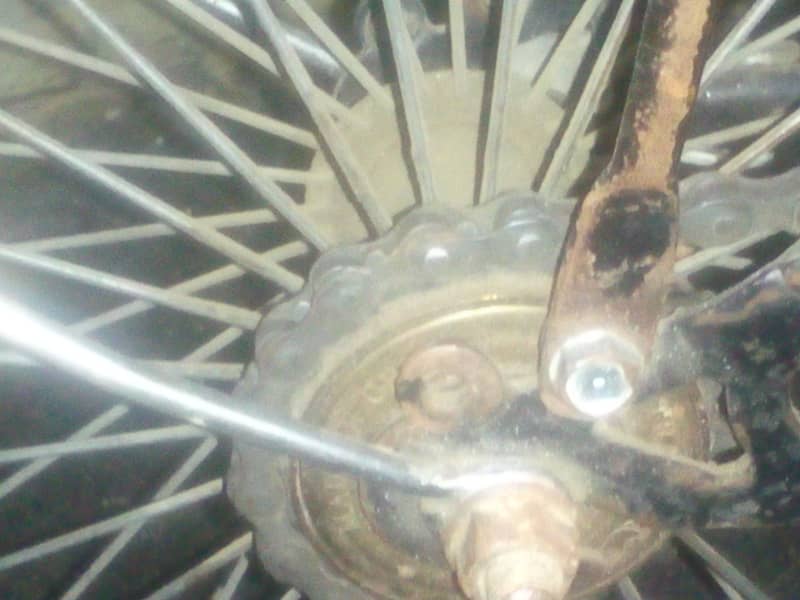 cycle 1