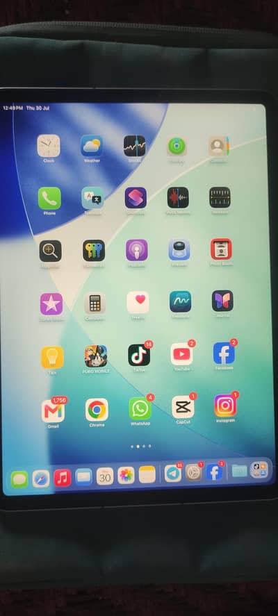 Ipad pro M2 11 inch 256 Gb 10 by 10//whsp. 03455532156
