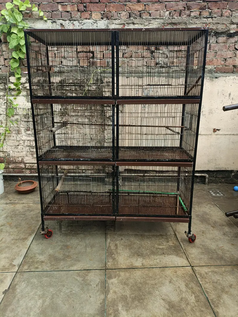 6 Portion Cage for sale — photo 2