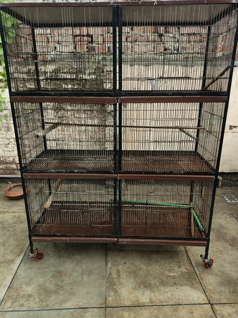 6 Portion Cage for sale — photo 3
