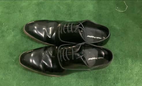 Gloze HXDS Hush Puppies
