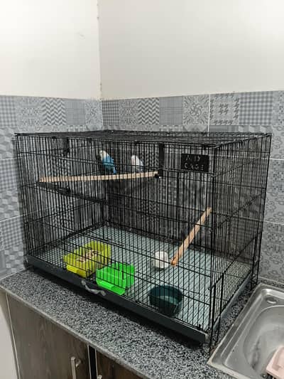 love birds cocktail folding cages