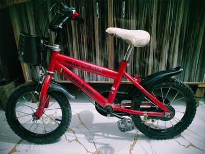 Thunder birds cycle