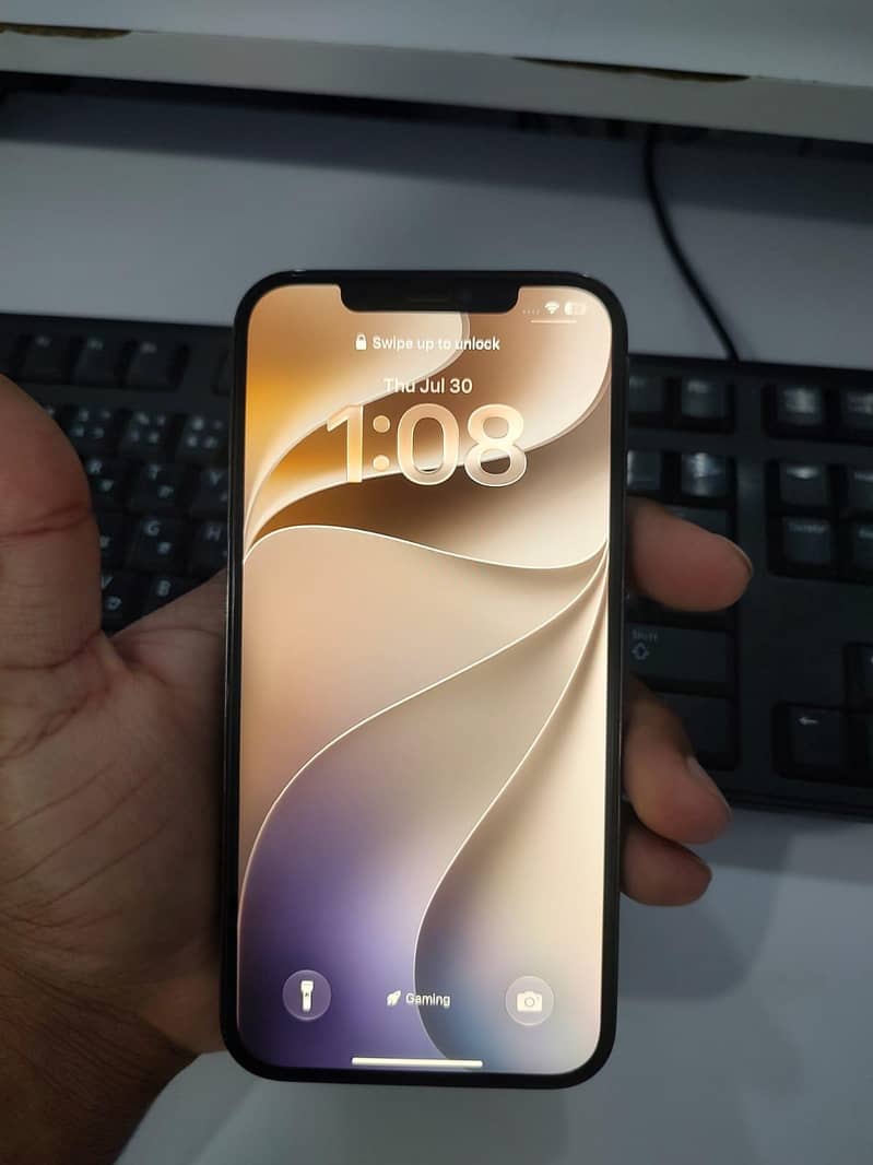 iPhone 12 pro max 2