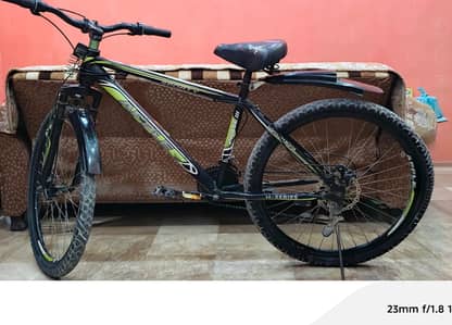 Apple Sporty Full Size Mountain Bike