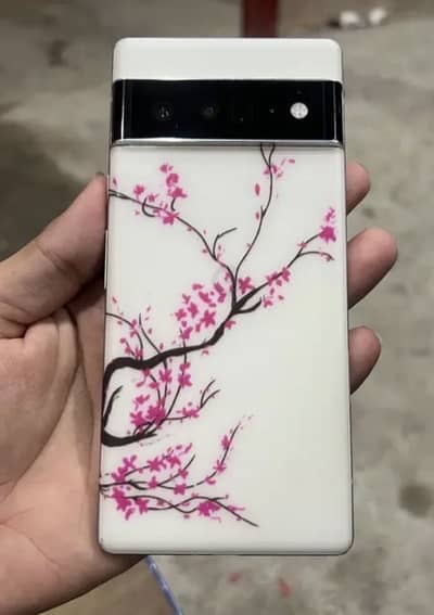 Google Pixel 6 Pro Pta approved