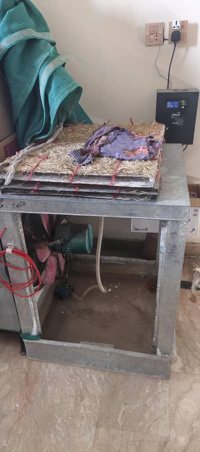 national cooler with low cost pump