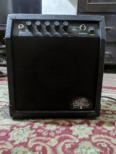 Tanglewood 10W Guitar amp