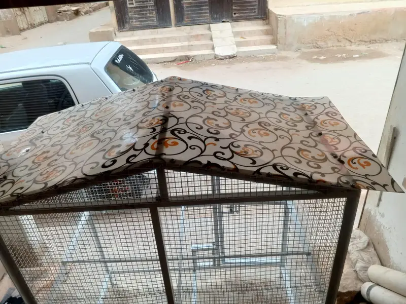 cages and birds for sale — photo 9