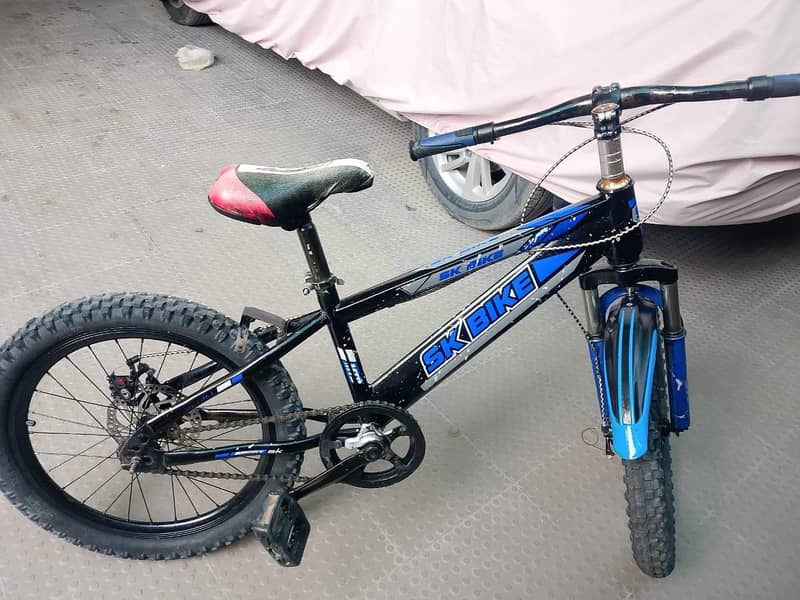 Bicycle 0
