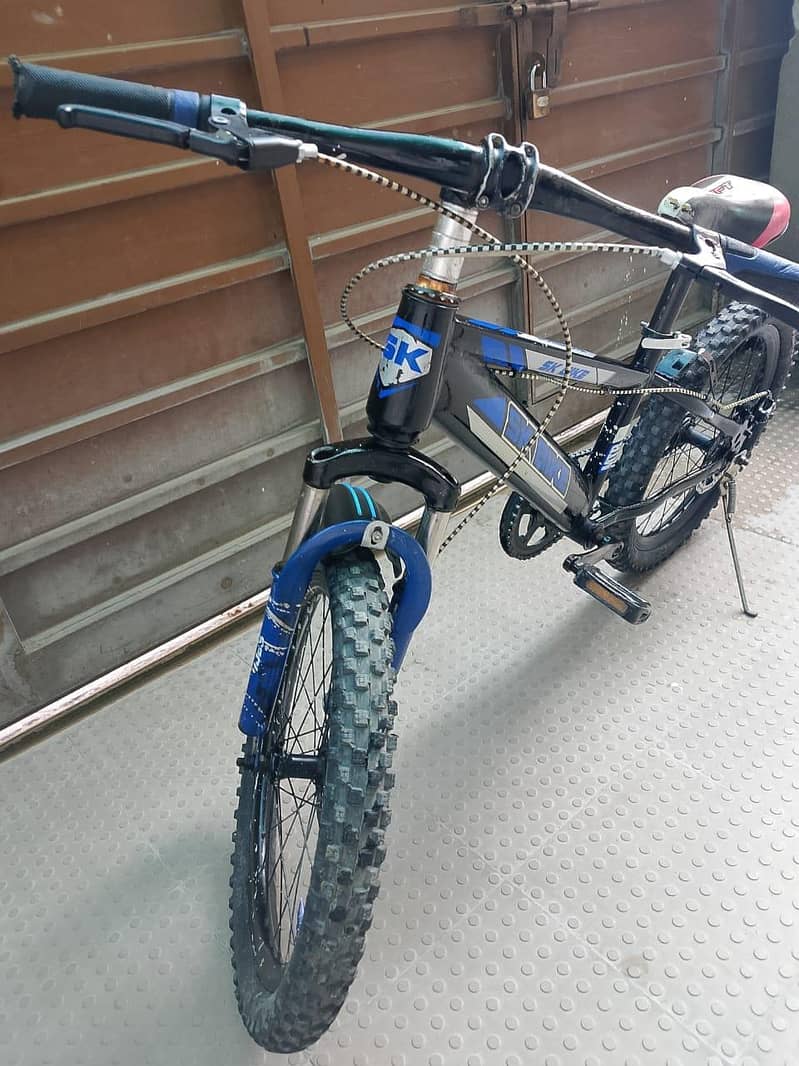 Bicycle 1