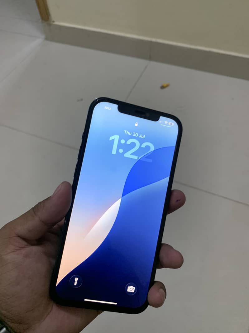 iPhone 12 Pro Max 5