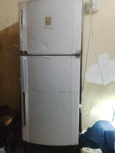 Refrigerator large size