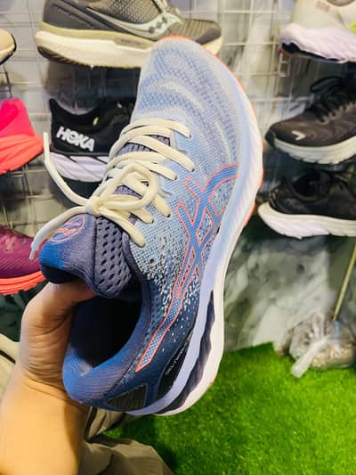 asic gel nimbus