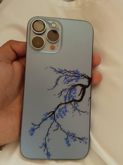 Apple iPhone 13 Pro Max