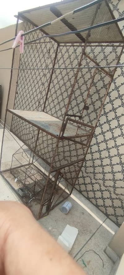 cages for sale