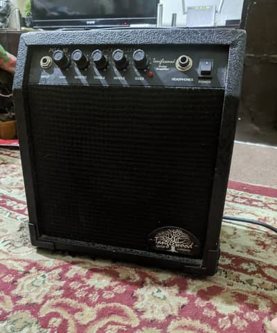 Tanglewood 10w guitar amp