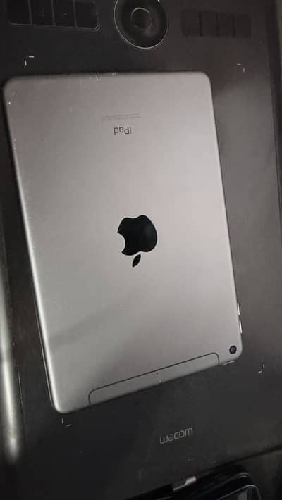iPad mini 5