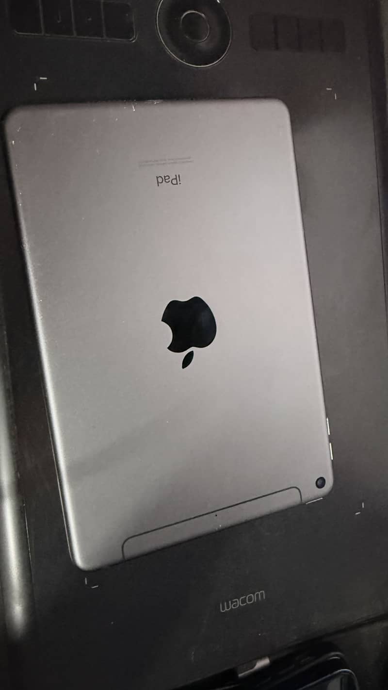 iPad mini 5 0
