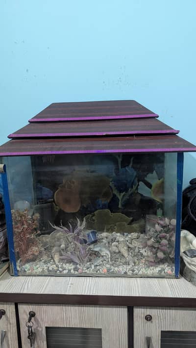 aquarium 24/12 height/18