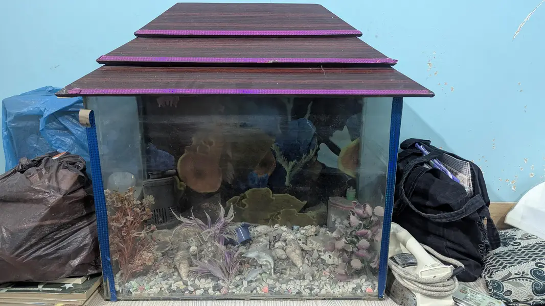 aquarium 24/12 height/18 — photo 2