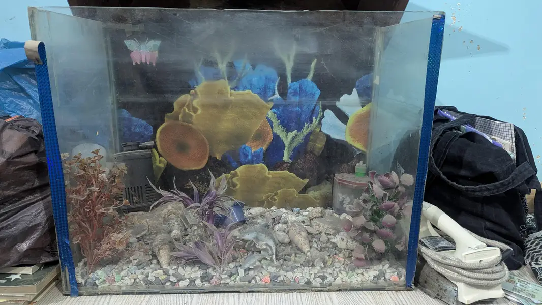 aquarium 24/12 height/18 — photo 3