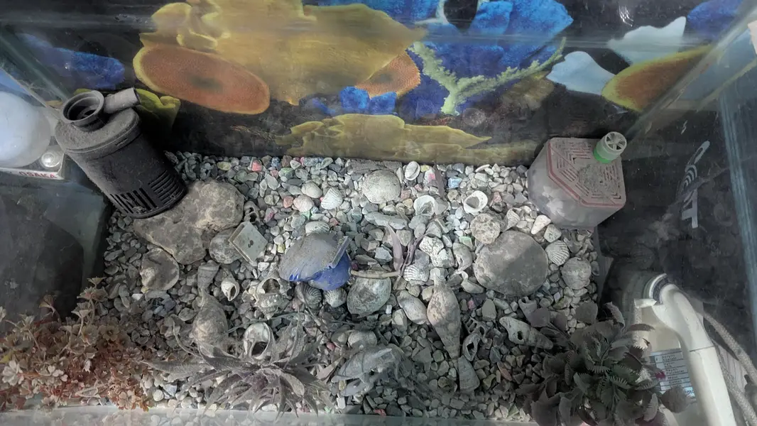 aquarium 24/12 height/18 — photo 4