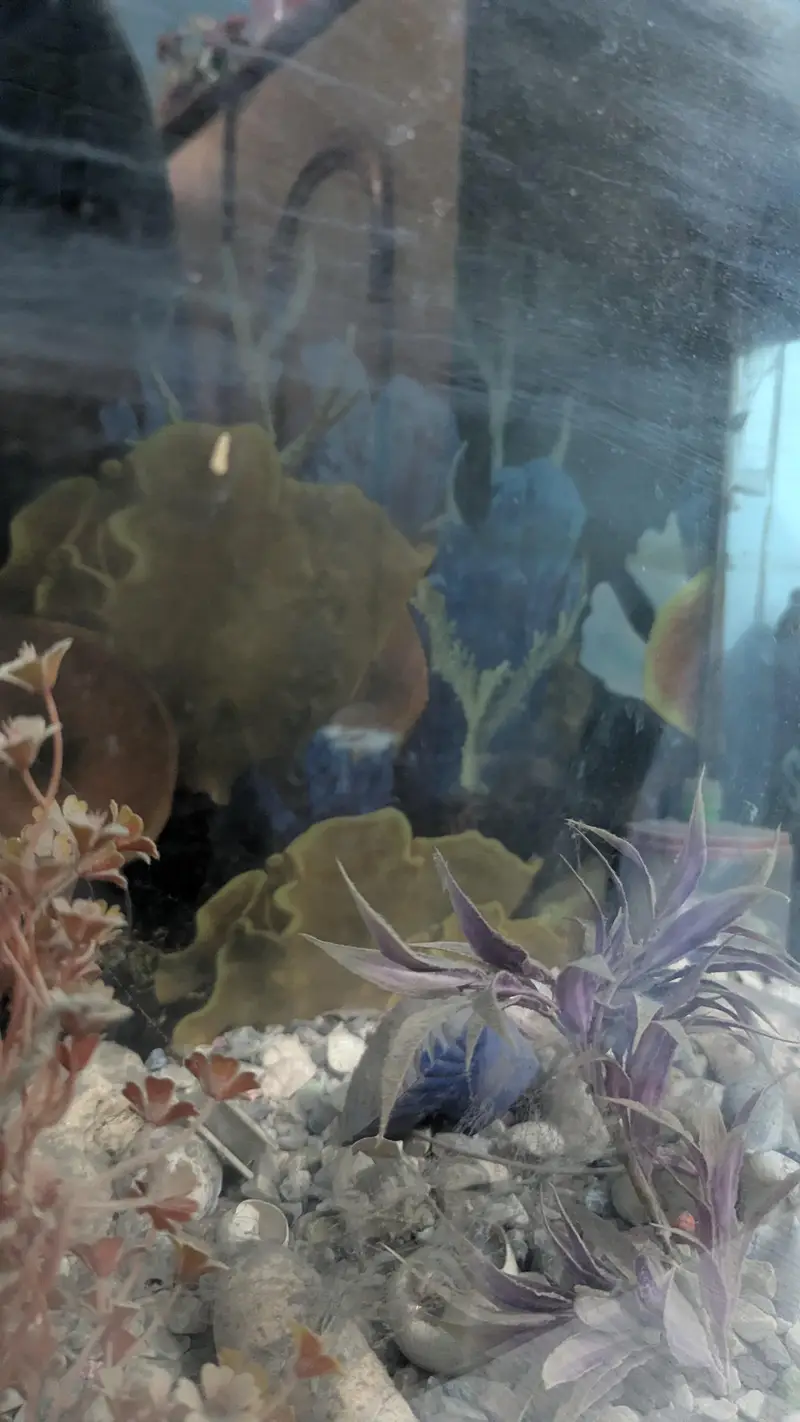 aquarium 24/12 height/18 — photo 6