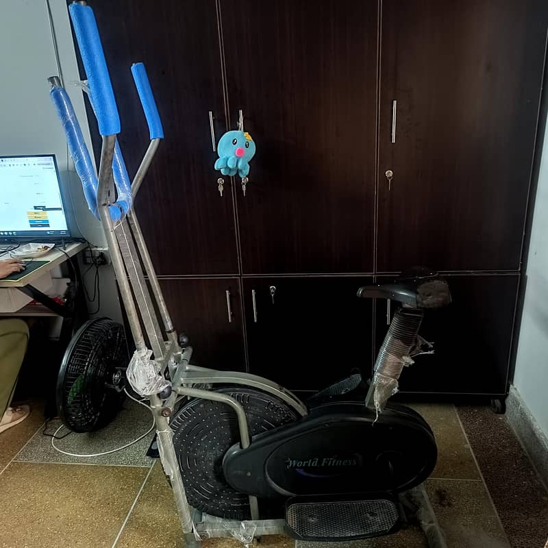 Elliptical cycle 1