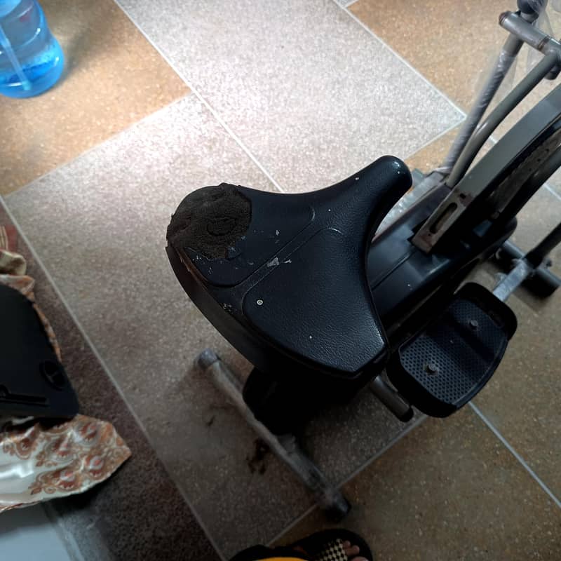 Elliptical cycle 4