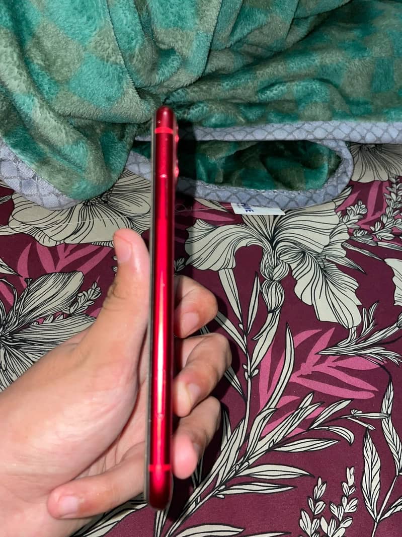 Apple iPhone 11 0