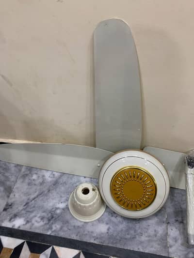 2 Fan . . Urgent Sale. . . . 10/10 all ok. . .