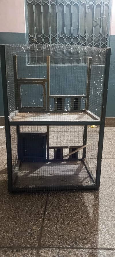 Birds cage