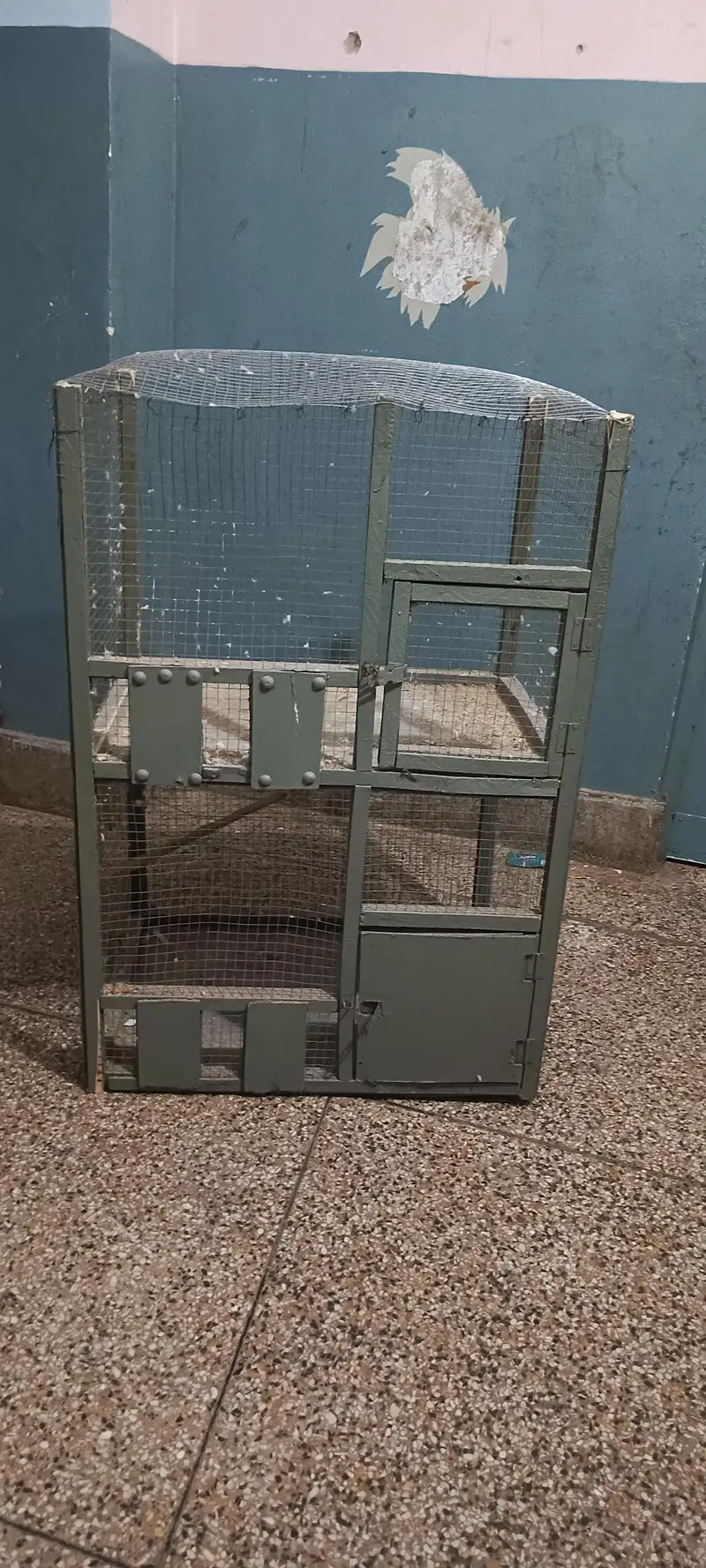 Birds cage — photo 4